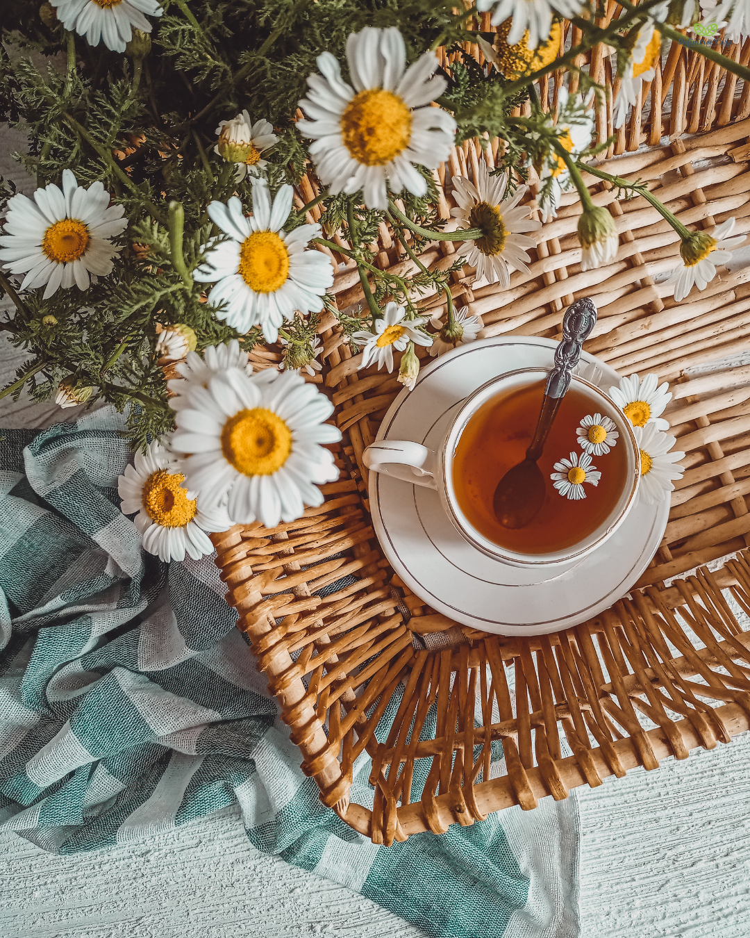 Your Morning Beverage Could Be Causing Inflammation: What to Sip Instead