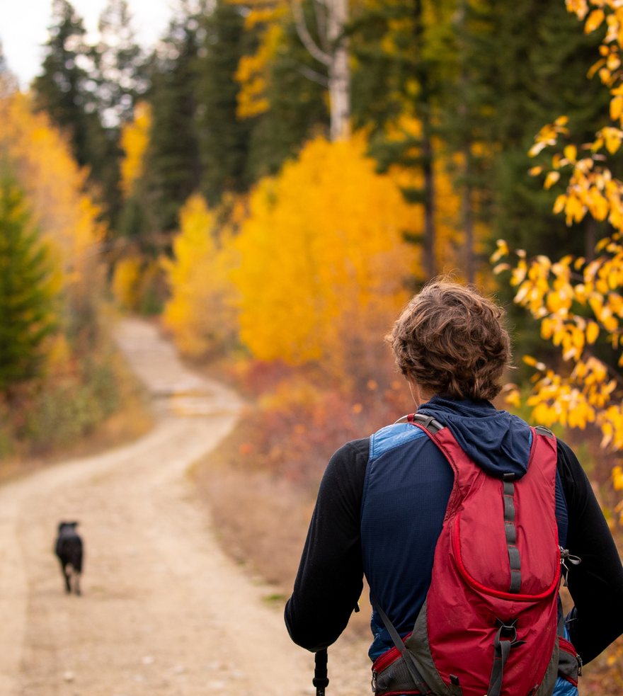 Fall Joint Care: Preparing Your Body for the Cold Season Ahead