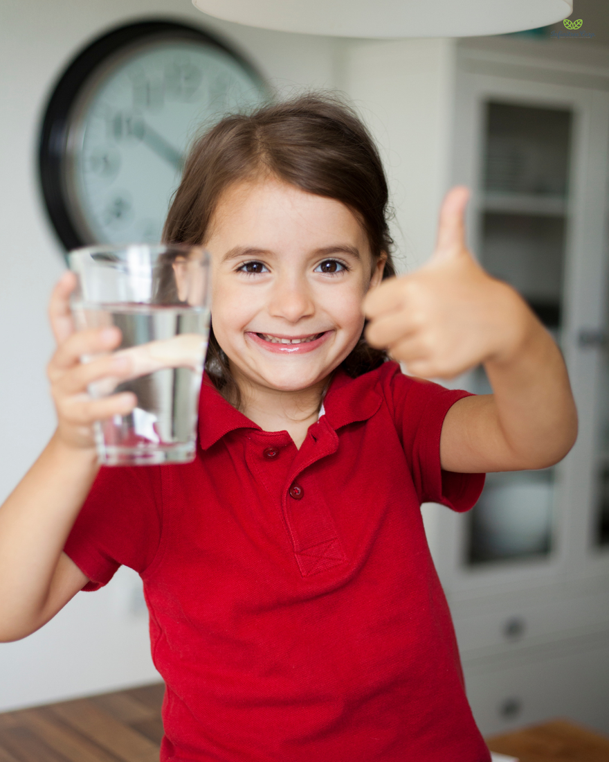 Morning Light, Taller Nights: How Sunlight Sets the Growth Clock