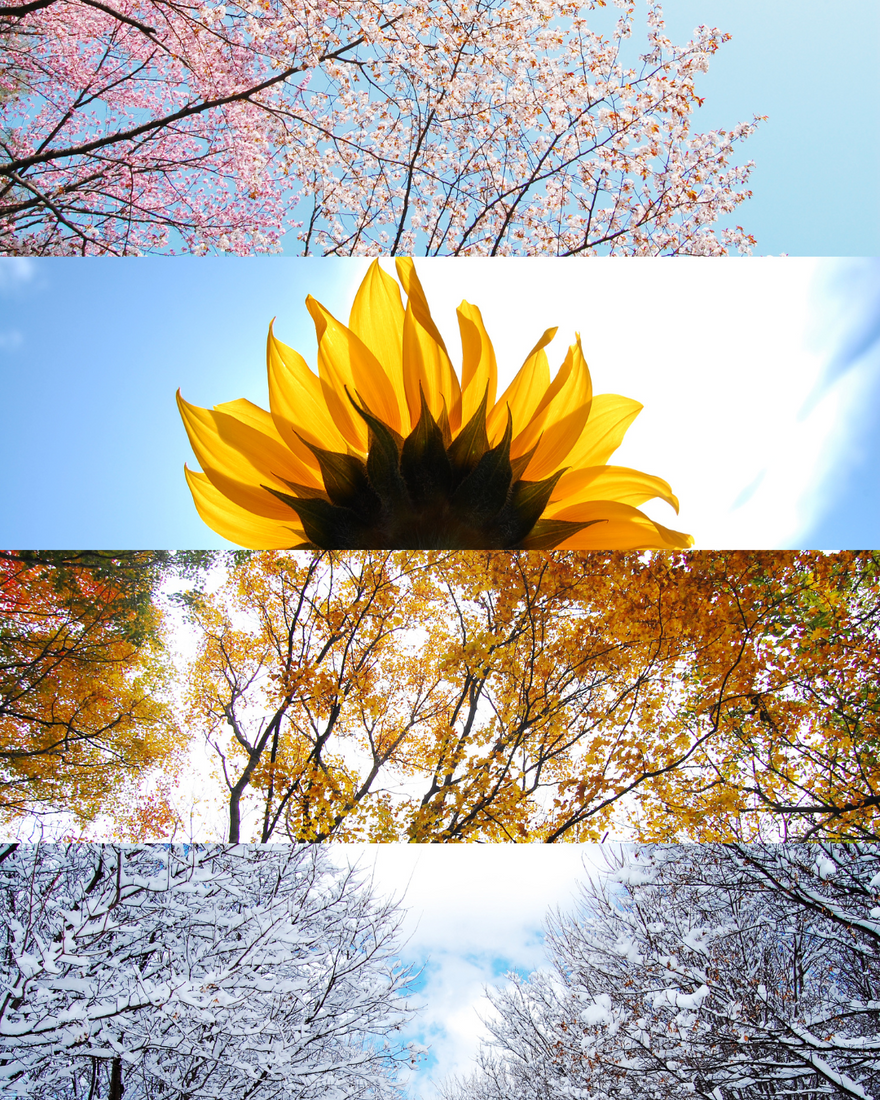 How Weather Changes Can Trigger Growth Spurts