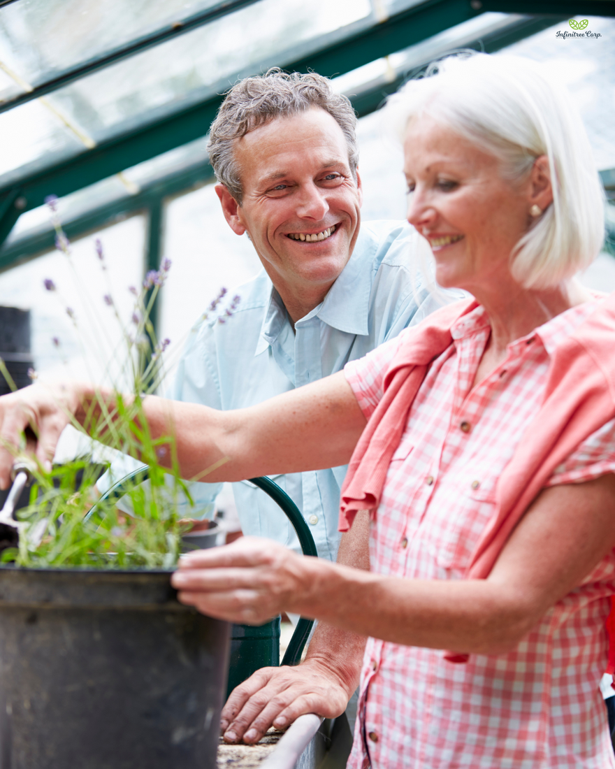 How Your Gut Health Affects Your Joints: The Gut-Inflammation Connection