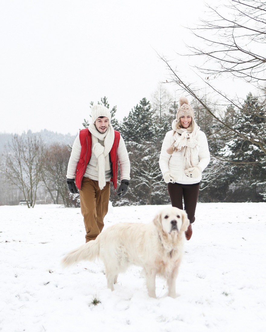 Sunlight vs. Supplements: How to Get Enough Vitamin D in Canada