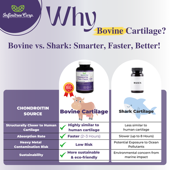 Chondroitin Sulfate Classic 1200 120 Capsules